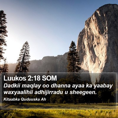 Luukos 2:18 SOM Bible Verse Image
