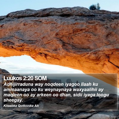 Luukos 2:20 SOM Bible Verse Image