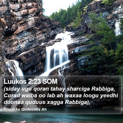 Luukos 2:23 SOM Bible Verse Image