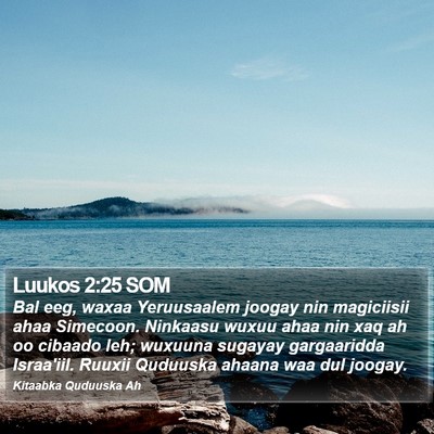 Luukos 2:25 SOM Bible Verse Image