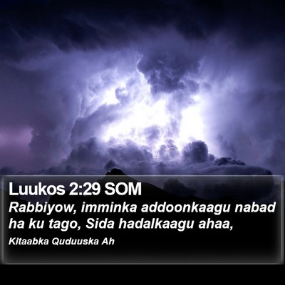 Luukos 2:29 SOM Bible Verse Image
