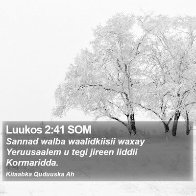 Luukos 2:41 SOM Bible Verse Image