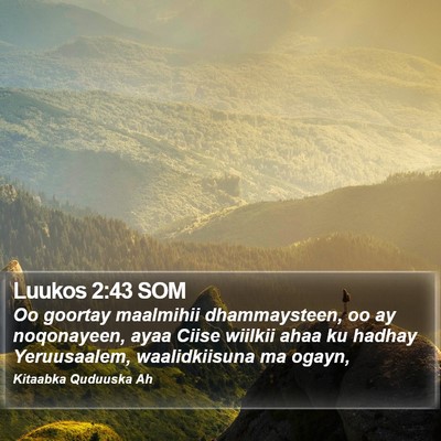 Luukos 2:43 SOM Bible Verse Image