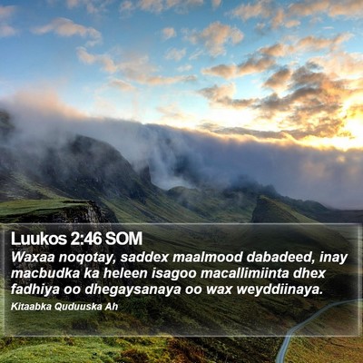 Luukos 2:46 SOM Bible Verse Image