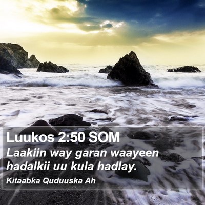 Luukos 2:50 SOM Bible Verse Image