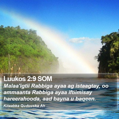Luukos 2:9 SOM Bible Verse Image
