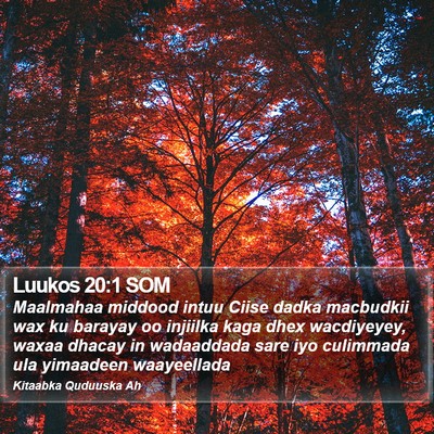 Luukos 20:1 SOM Bible Verse Image