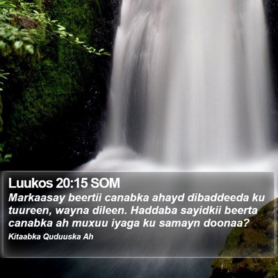 Luukos 20:15 SOM Bible Verse Image