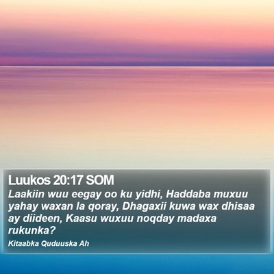 Luukos 20:17 SOM Bible Verse Image