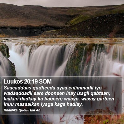 Luukos 20:19 SOM Bible Verse Image