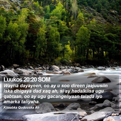 Luukos 20:20 SOM Bible Verse Image