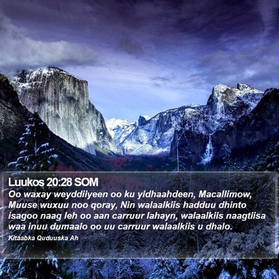 Luukos 20:28 SOM Bible Verse Image