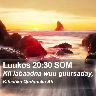 Luukos 20:30 SOM Bible Verse Image