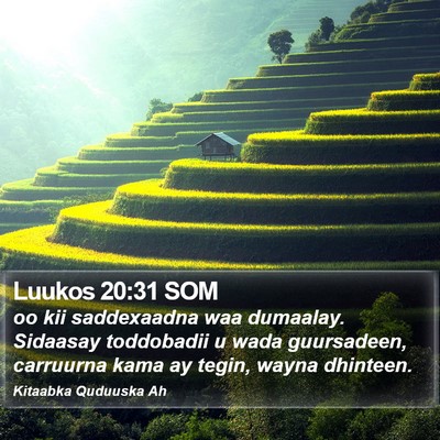 Luukos 20:31 SOM Bible Verse Image