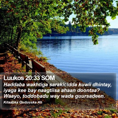 Luukos 20:33 SOM Bible Verse Image