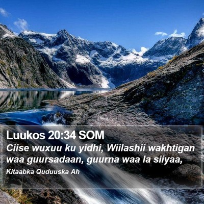 Luukos 20:34 SOM Bible Verse Image