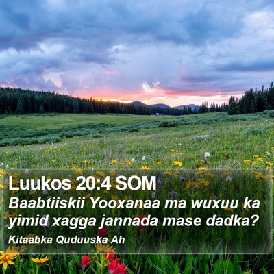 Luukos 20:4 SOM Bible Verse Image