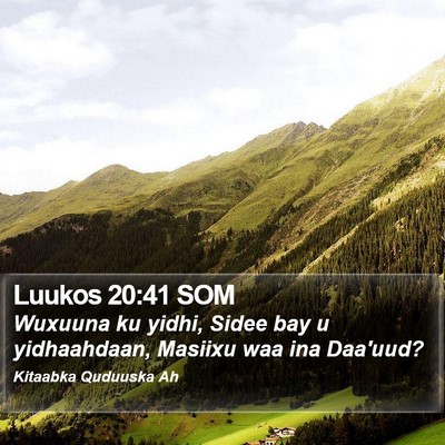 Luukos 20:41 SOM Bible Verse Image