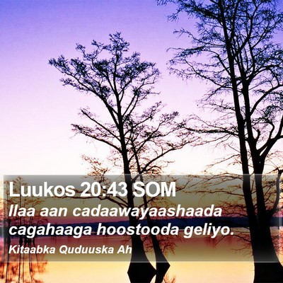 Luukos 20:43 SOM Bible Verse Image