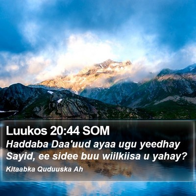 Luukos 20:44 SOM Bible Verse Image