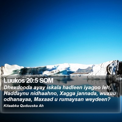 Luukos 20:5 SOM Bible Verse Image