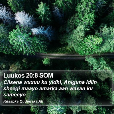 Luukos 20:8 SOM Bible Verse Image