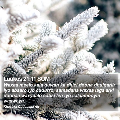 Luukos 21:11 SOM Bible Verse Image