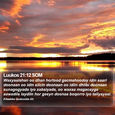 Luukos 21:12 SOM Bible Verse Image