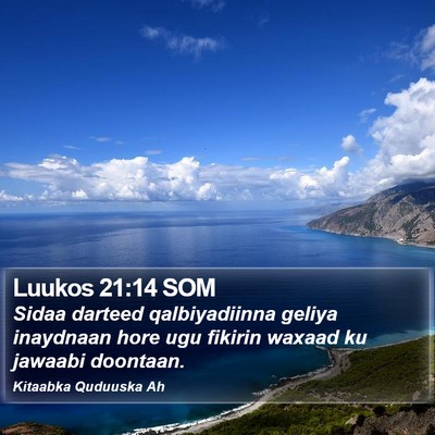 Luukos 21:14 SOM Bible Verse Image