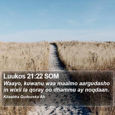 Luukos 21:22 SOM Bible Verse Image