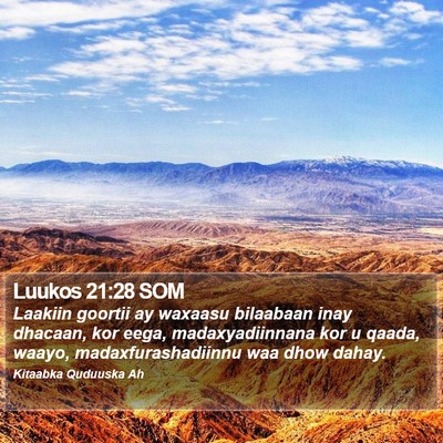 Luukos 21:28 SOM Bible Verse Image