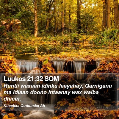 Luukos 21:32 SOM Bible Verse Image