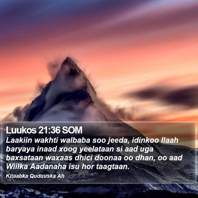 Luukos 21:36 SOM Bible Verse Image