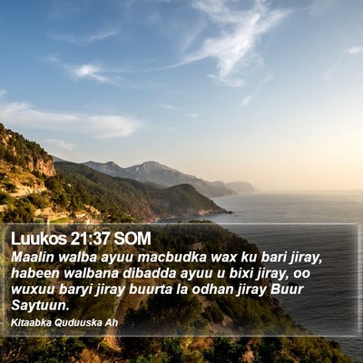 Luukos 21:37 SOM Bible Verse Image