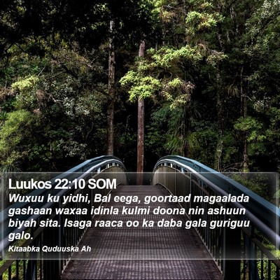 Luukos 22:10 SOM Bible Verse Image
