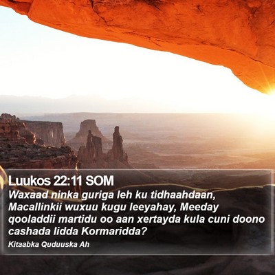 Luukos 22:11 SOM Bible Verse Image