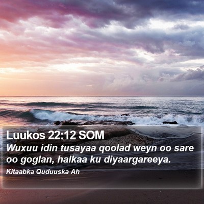Luukos 22:12 SOM Bible Verse Image
