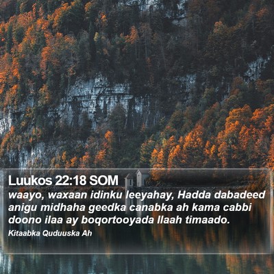 Luukos 22:18 SOM Bible Verse Image