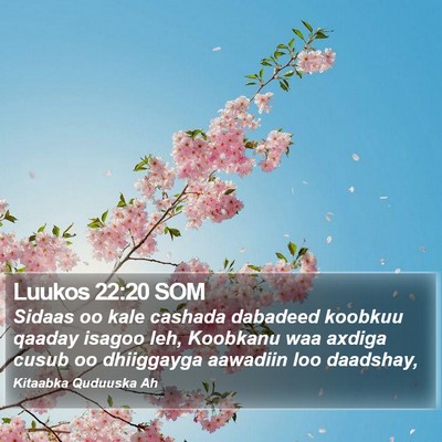Luukos 22:20 SOM Bible Verse Image