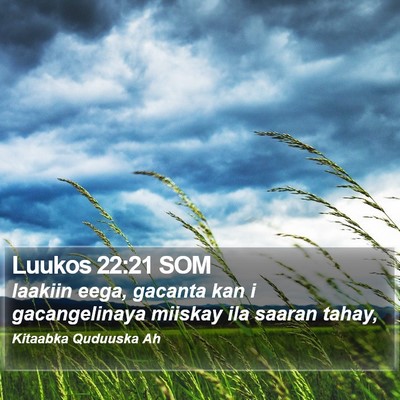 Luukos 22:21 SOM Bible Verse Image