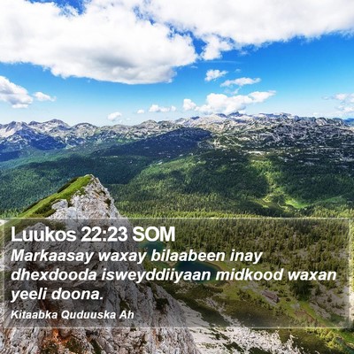 Luukos 22:23 SOM Bible Verse Image