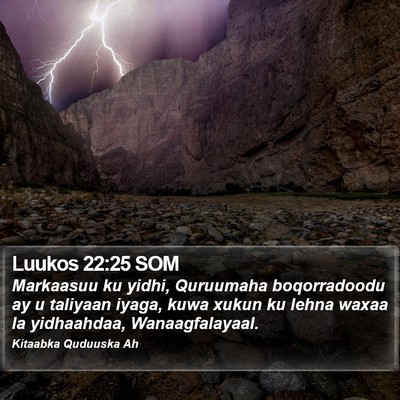 Luukos 22:25 SOM Bible Verse Image
