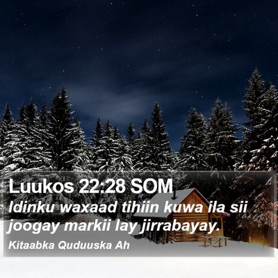 Luukos 22:28 SOM Bible Verse Image