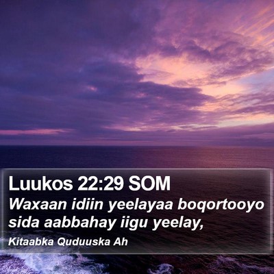 Luukos 22:29 SOM Bible Verse Image
