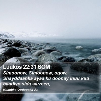 Luukos 22:31 SOM Bible Verse Image
