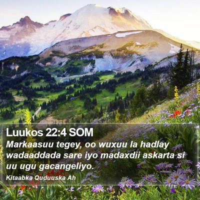 Luukos 22:4 SOM Bible Verse Image