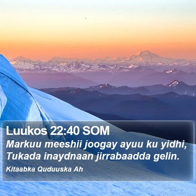 Luukos 22:40 SOM Bible Verse Image