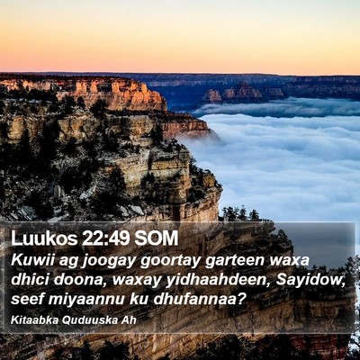 Luukos 22:49 SOM Bible Verse Image