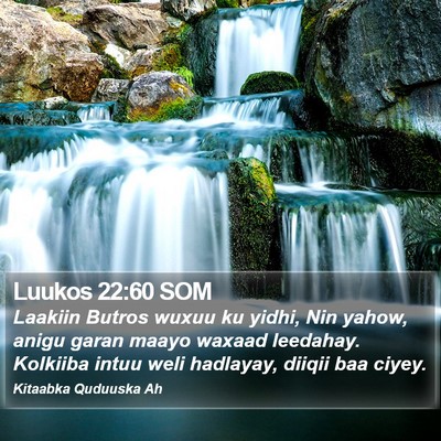 Luukos 22:60 SOM Bible Verse Image