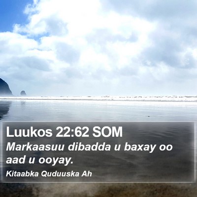 Luukos 22:62 SOM Bible Verse Image
